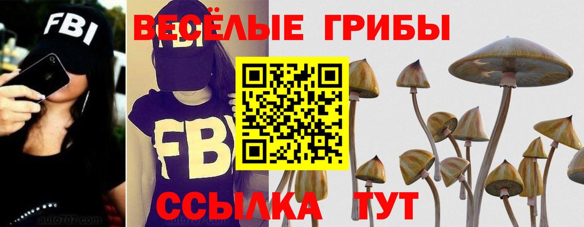 Псилоцибиновые грибы Cubensis Апрелевка