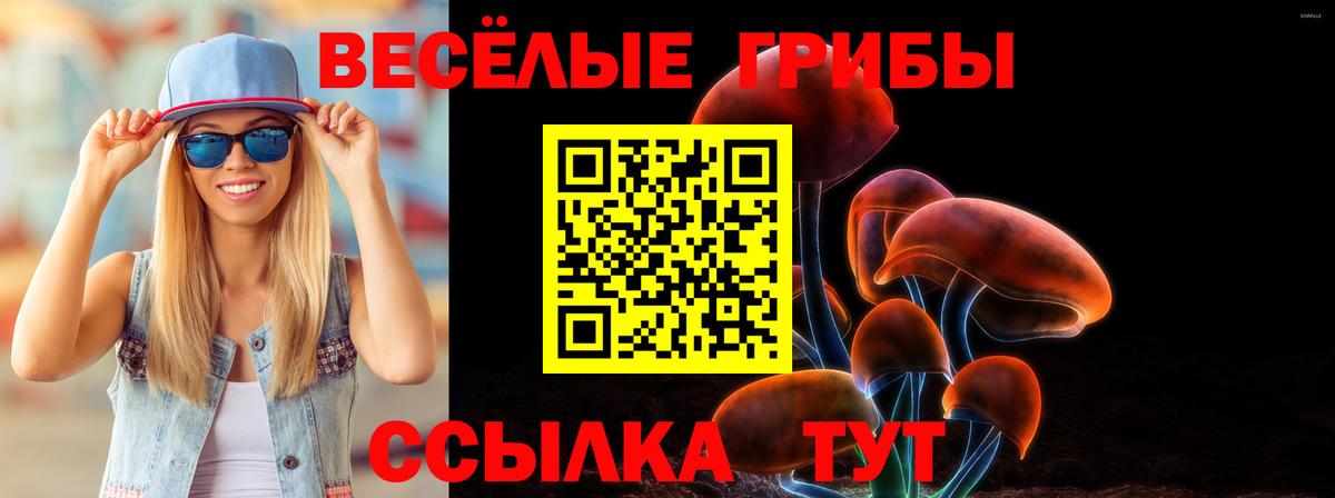 Апрелевка  Псилоцибиновые грибы прущие грибы  магазин  наркотиков  Вход с VPN 